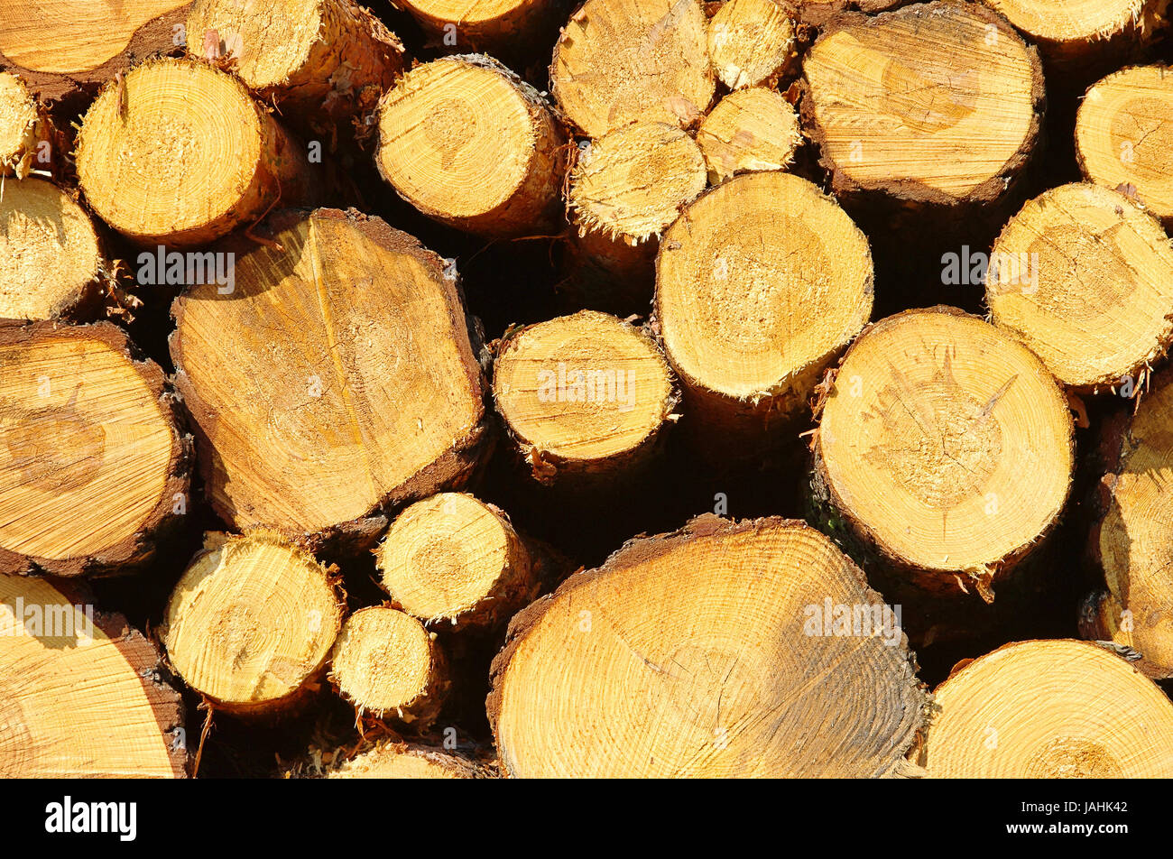 Holzstapel - stack of wood 33 Stock Photo