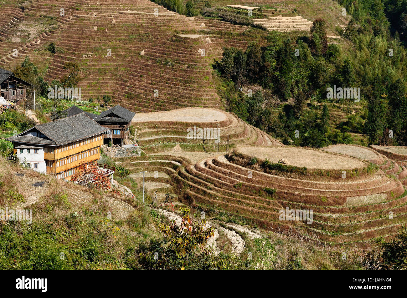Ancient beautiful rice terraces of Longsheng near Guilin, Guanxi province, China Stock Photo