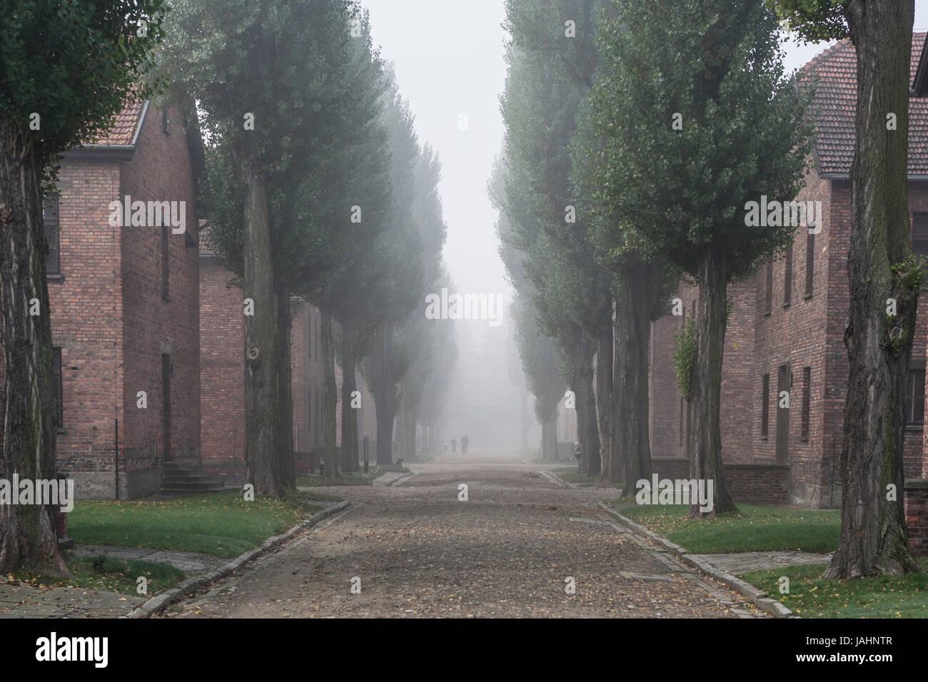 Auschwitz concentration camp, Poland. Stock Photo