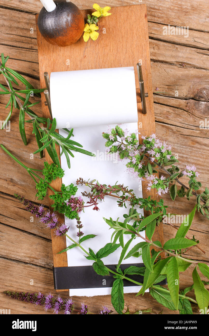 notepad with different herbs Stock Photo