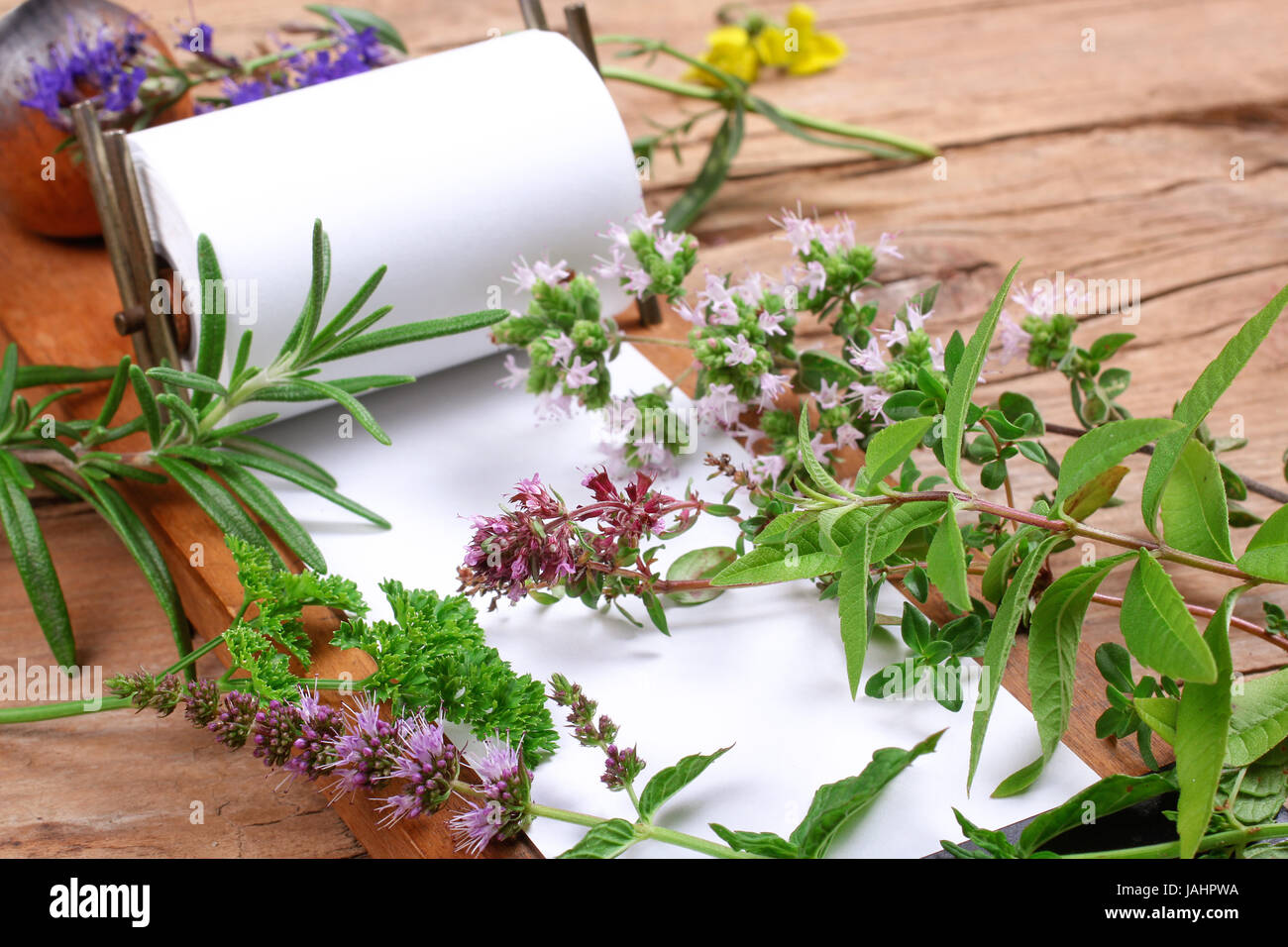 notepad with fresh herbs Stock Photo