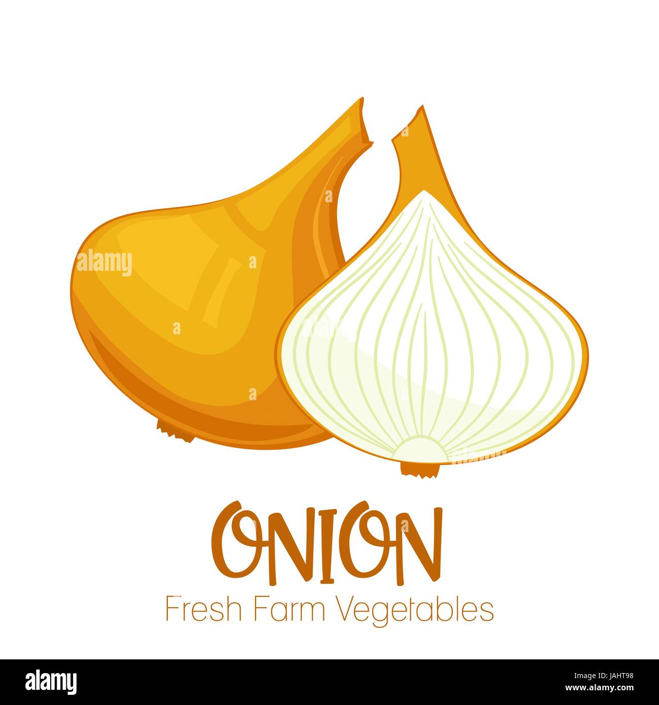 Vector onion isolated on white background.Vegetable illustration for farm market menu. Healthy food design poster. Cartoon style vector illustration Stock Vector