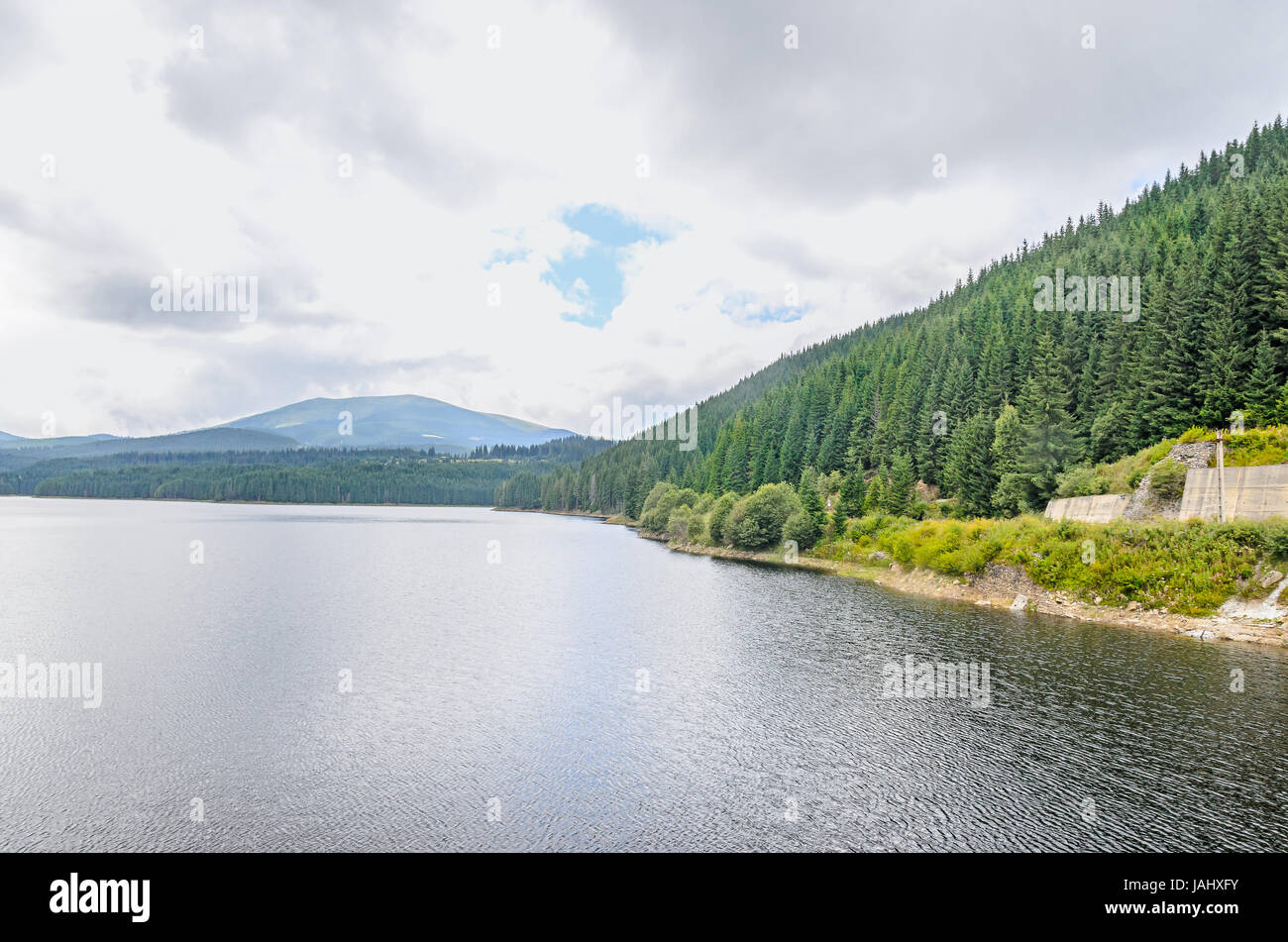 The dam and lake Oasa, river Sebes, pine forests, Sureanu Mountains. Stock Photo
