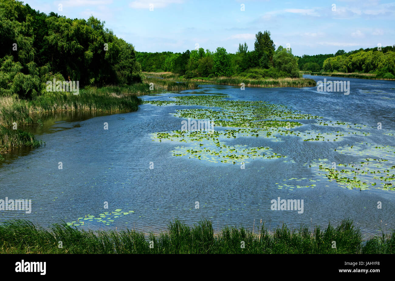 Landscape of Lake Balaton, Hungary ( Kanyavar ) Stock Photo