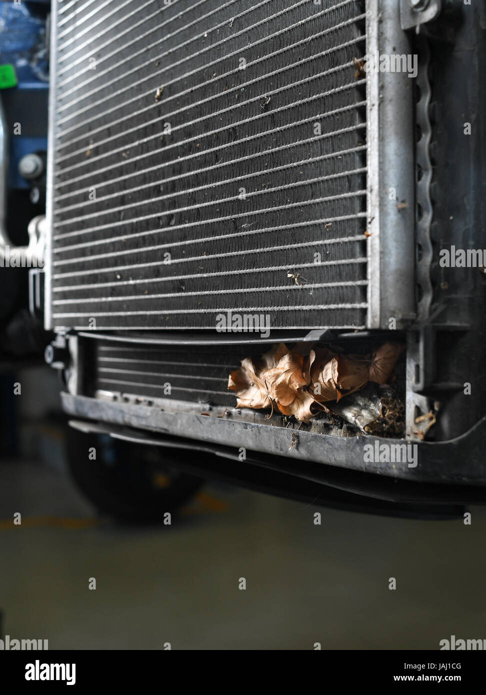 Leaves in radiator that can cause overheating Stock Photo Alamy