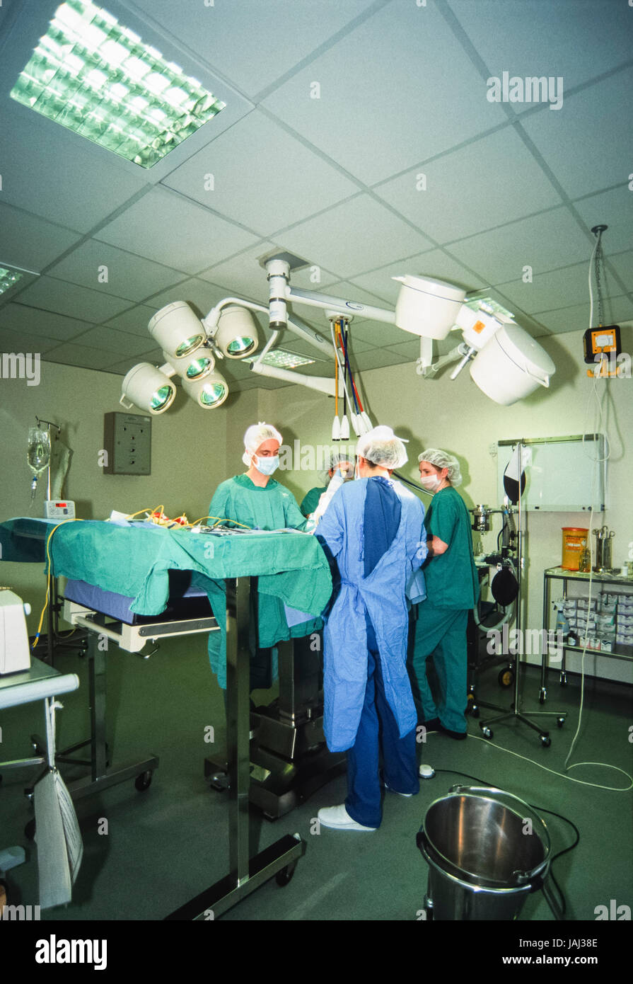 Animal operation hires stock photography and images Alamy