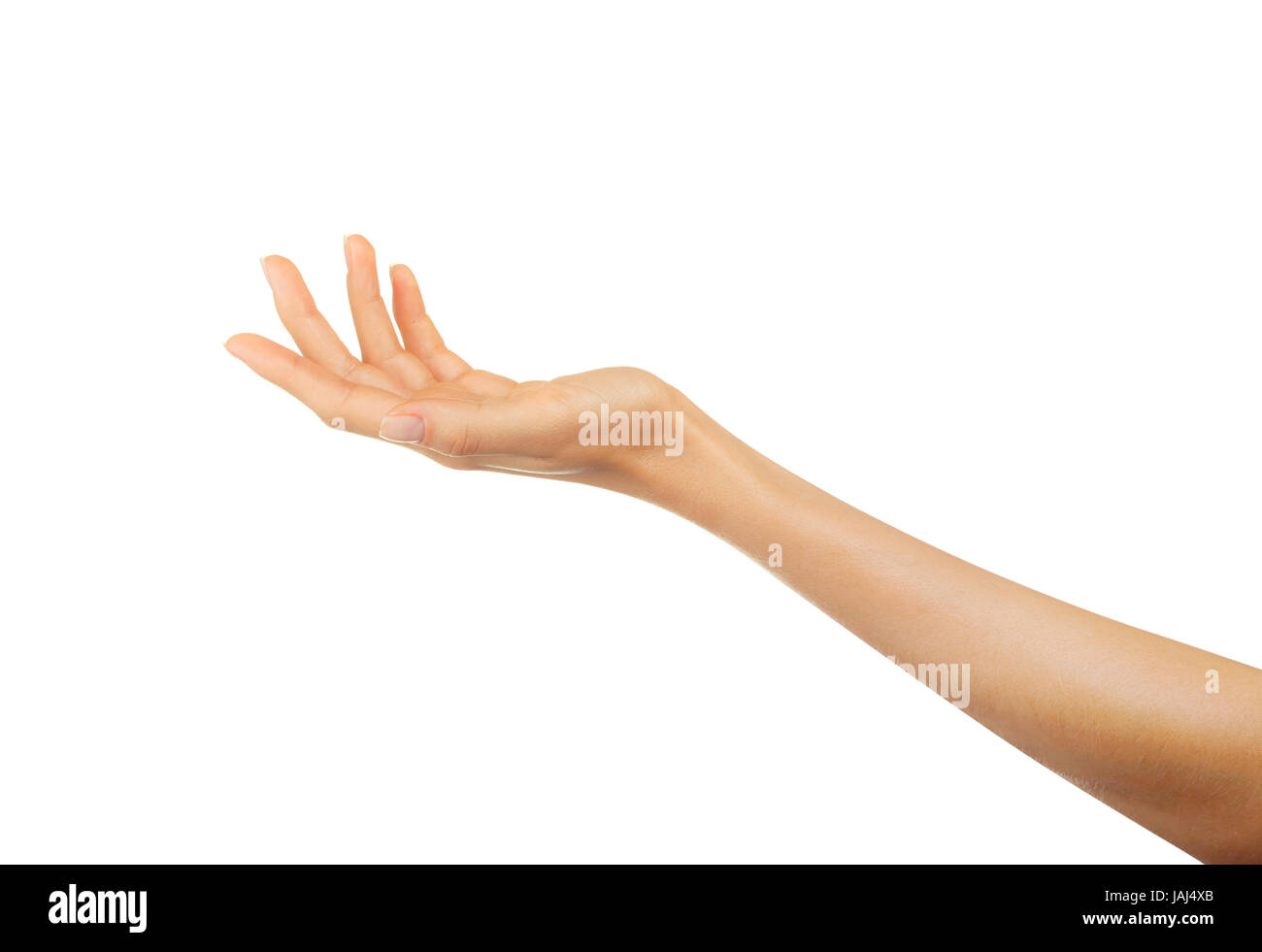 Closeup of beautiful woman's hand isolated on white background. Palm