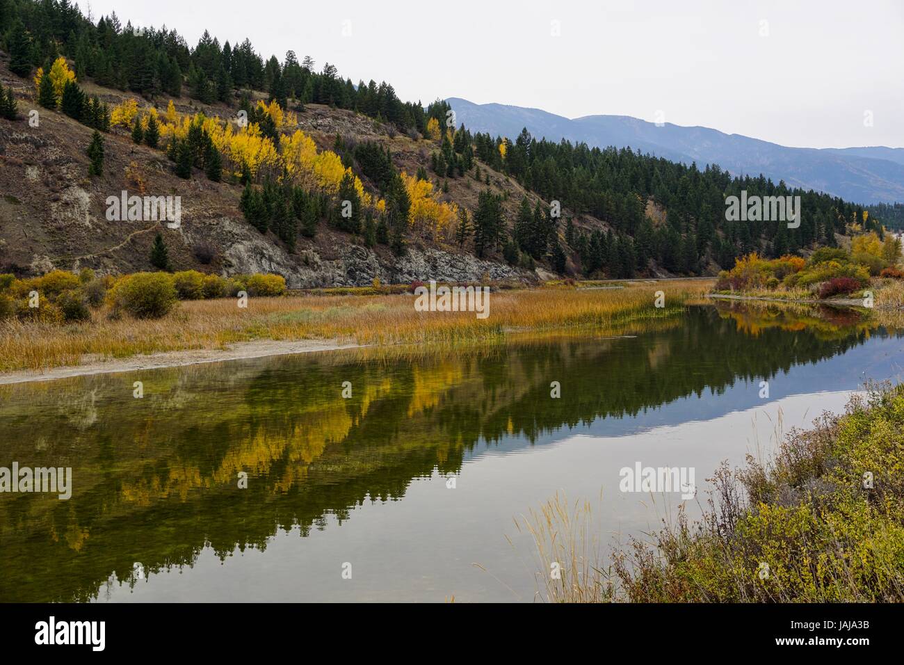 Autumn colors along the river Stock Photo