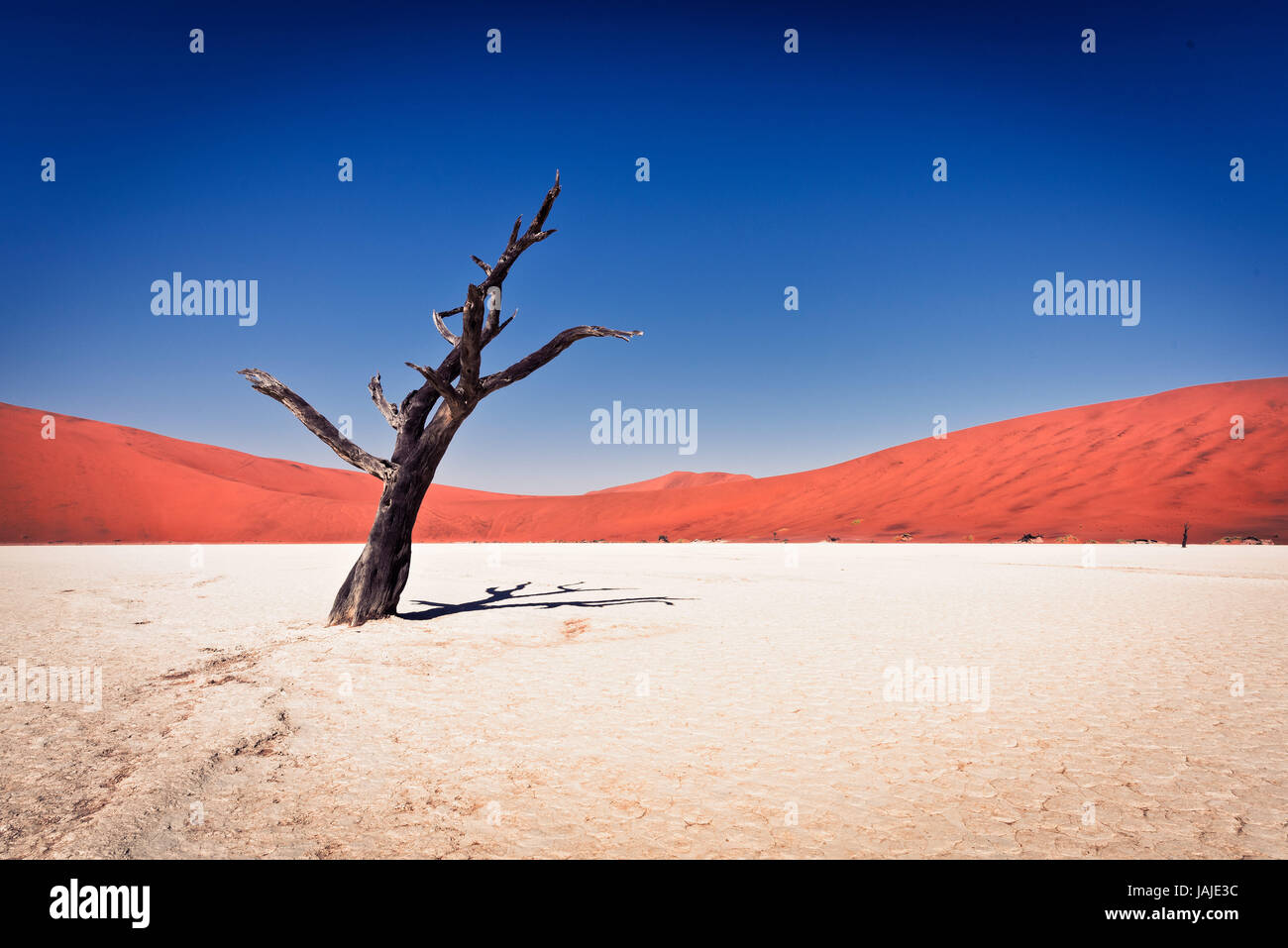 The Red Sand Dunes In Namibia by José Gieskes Fotografie