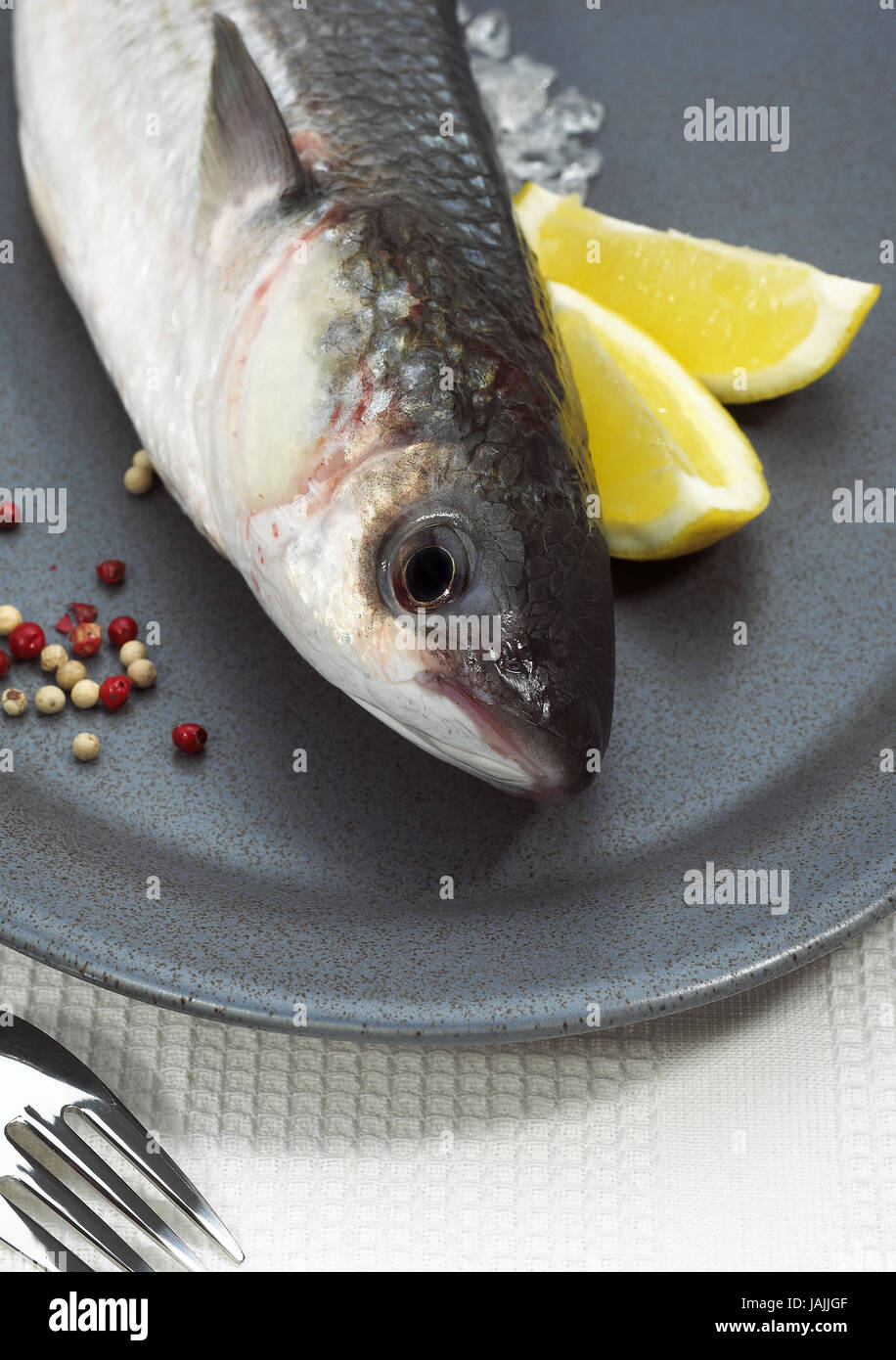 Thick-lipped grey mullet,Chelon labrosus,plate,lemon, Stock Photo