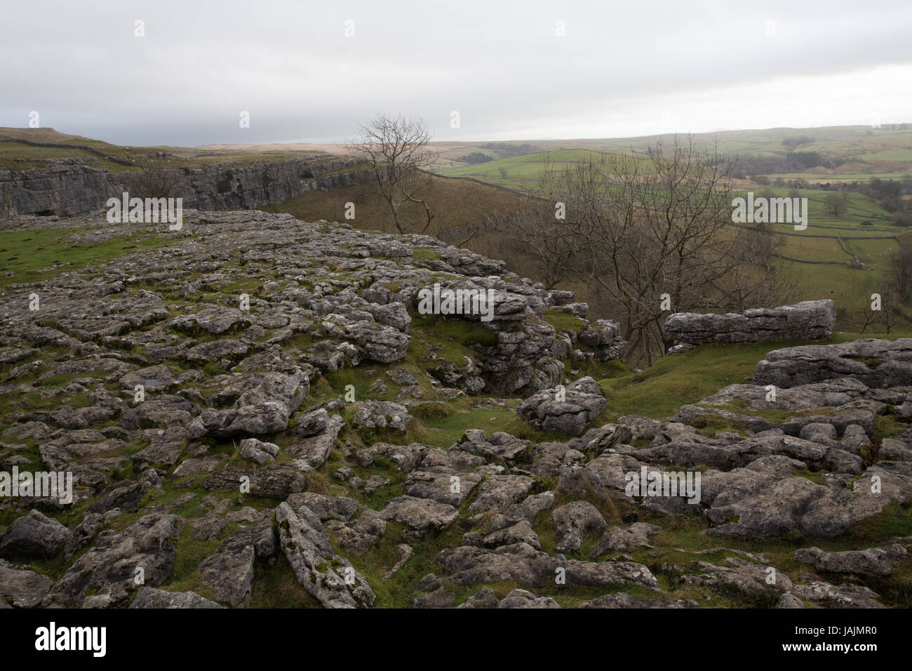The limestone pavement at Malham Cove, North Yorkshire Stock Photo Alamy