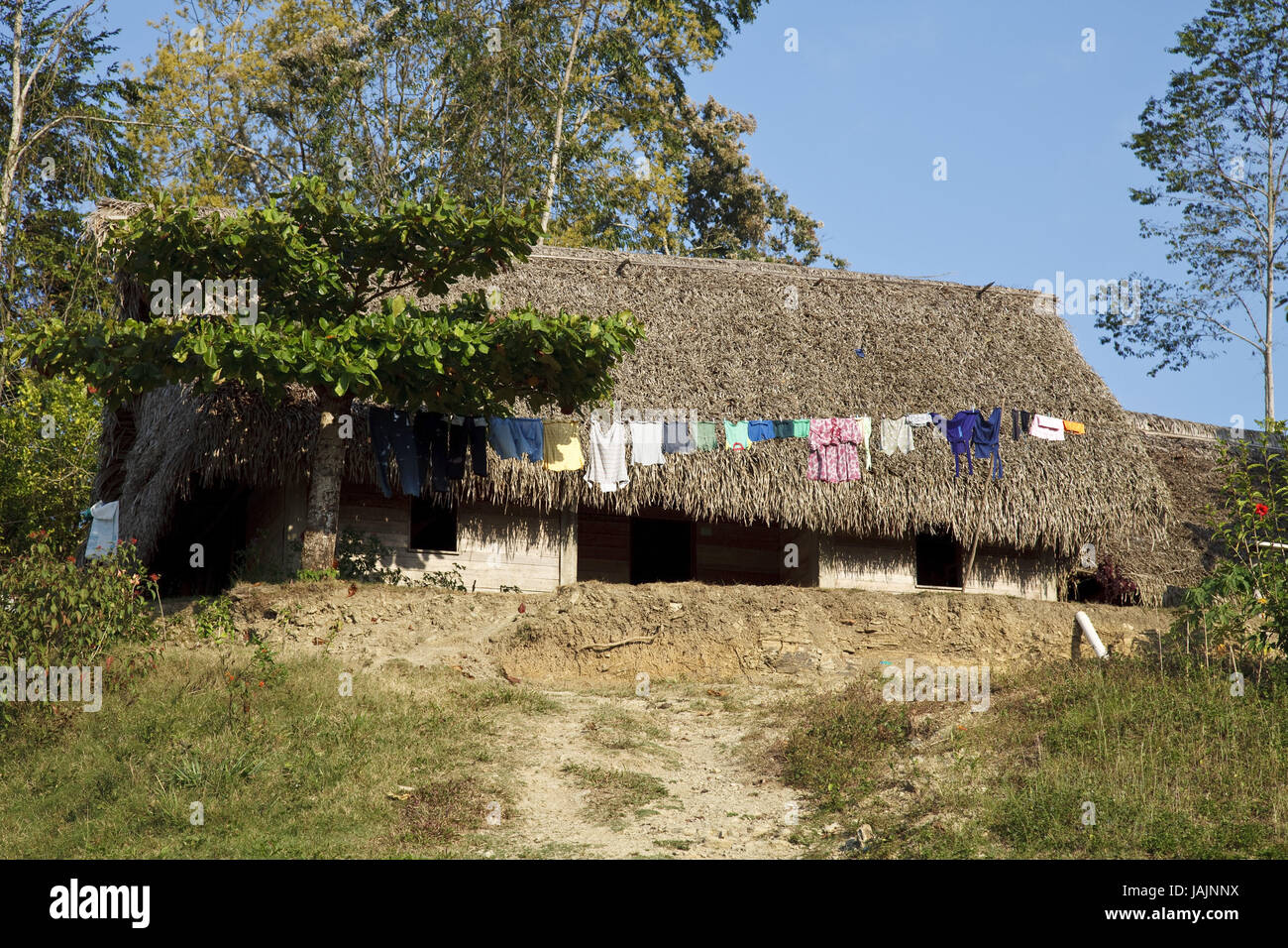 Belize,San Jose,Maya,house,palms, Stock Photo