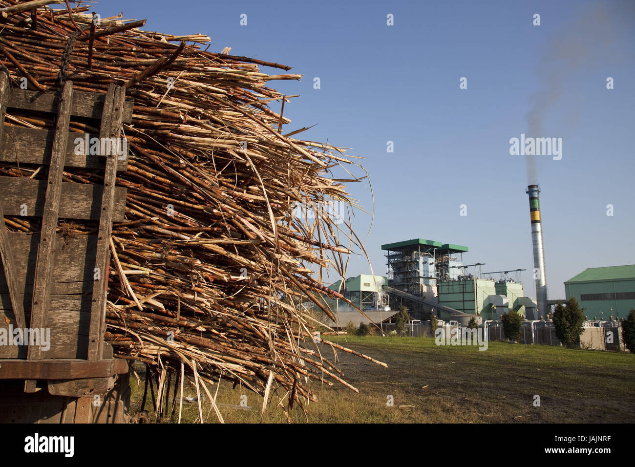 Belize,orange Drumming Town,sugar refinery,sugarcane,Fairtrade,no property release, Stock Photo
