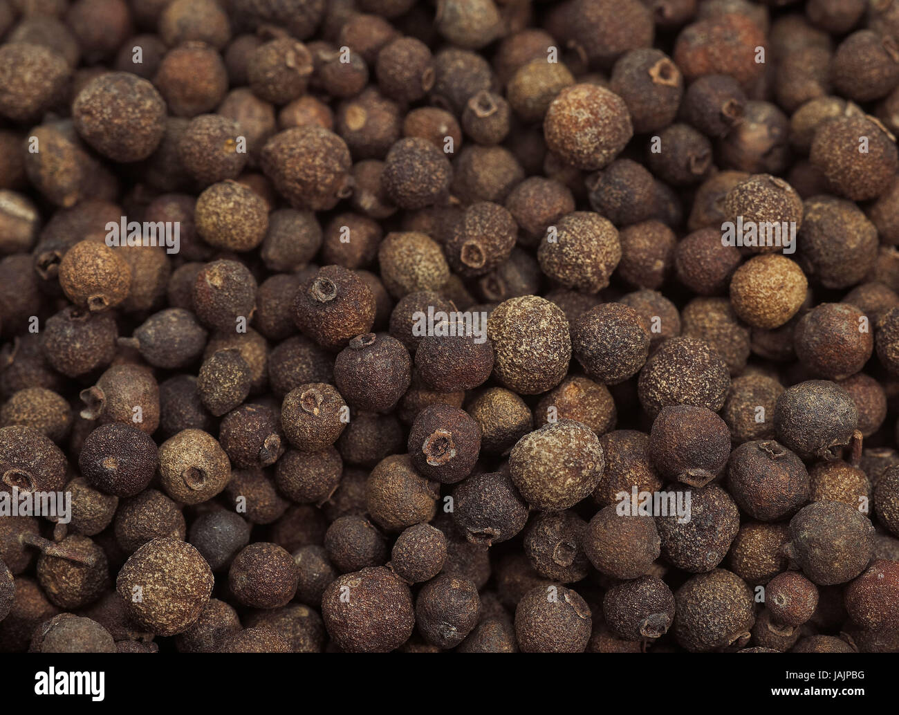 Jamaica pepper,allspice or allspice Stock Photo Alamy