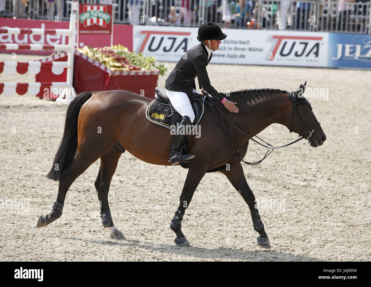 Horse-racing,German championships jumping and training in 2010 in Münster,Springreiterinnen,Eve Bitter on Argelith Staccato,1st square,gold medal,German master craftswoman,German champion, Stock Photo