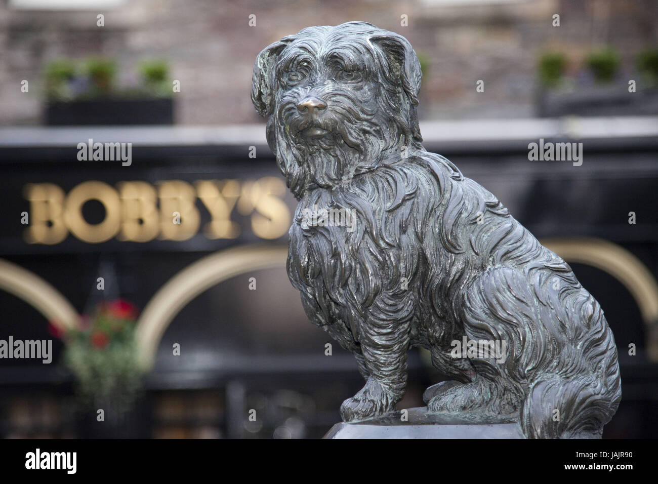 Scotland Edinburgh statue Of Greyfriars Bobby Stock Photo Alamy