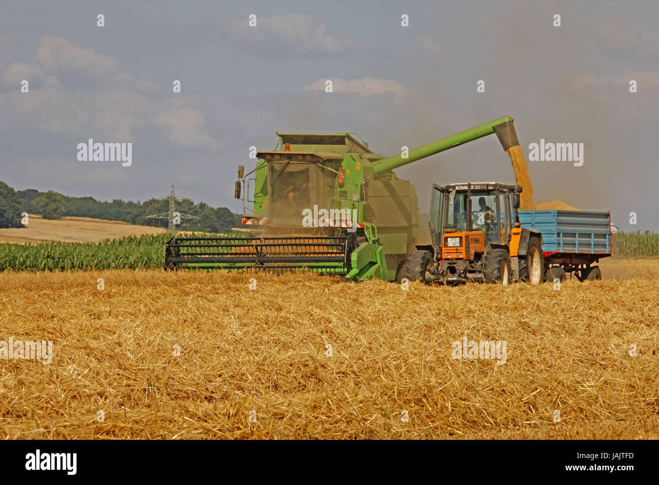 Field,grain harvest,combine harvester,tractor,Germany,Hessen,Northern Hessen,Salzschlirf,grain-field,grain harvest,grain,harvest,grain harvest,grain,agriculture, Stock Photo