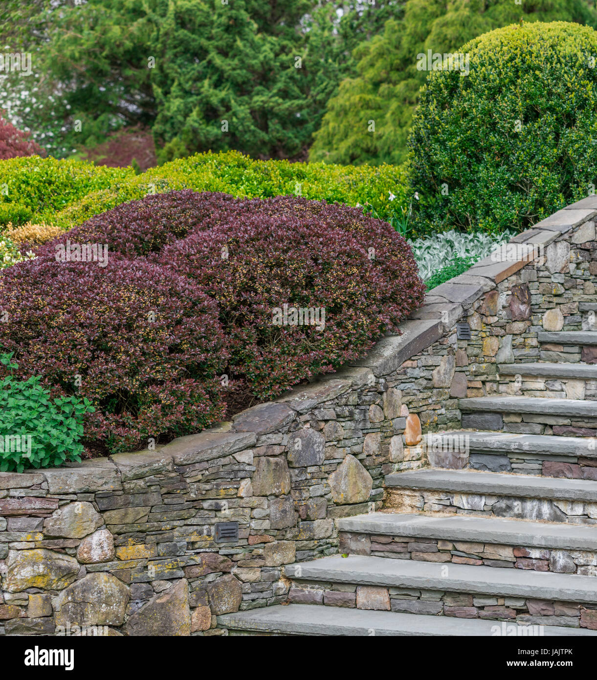 Garden stone wall plants hi-res stock photography and images - Alamy