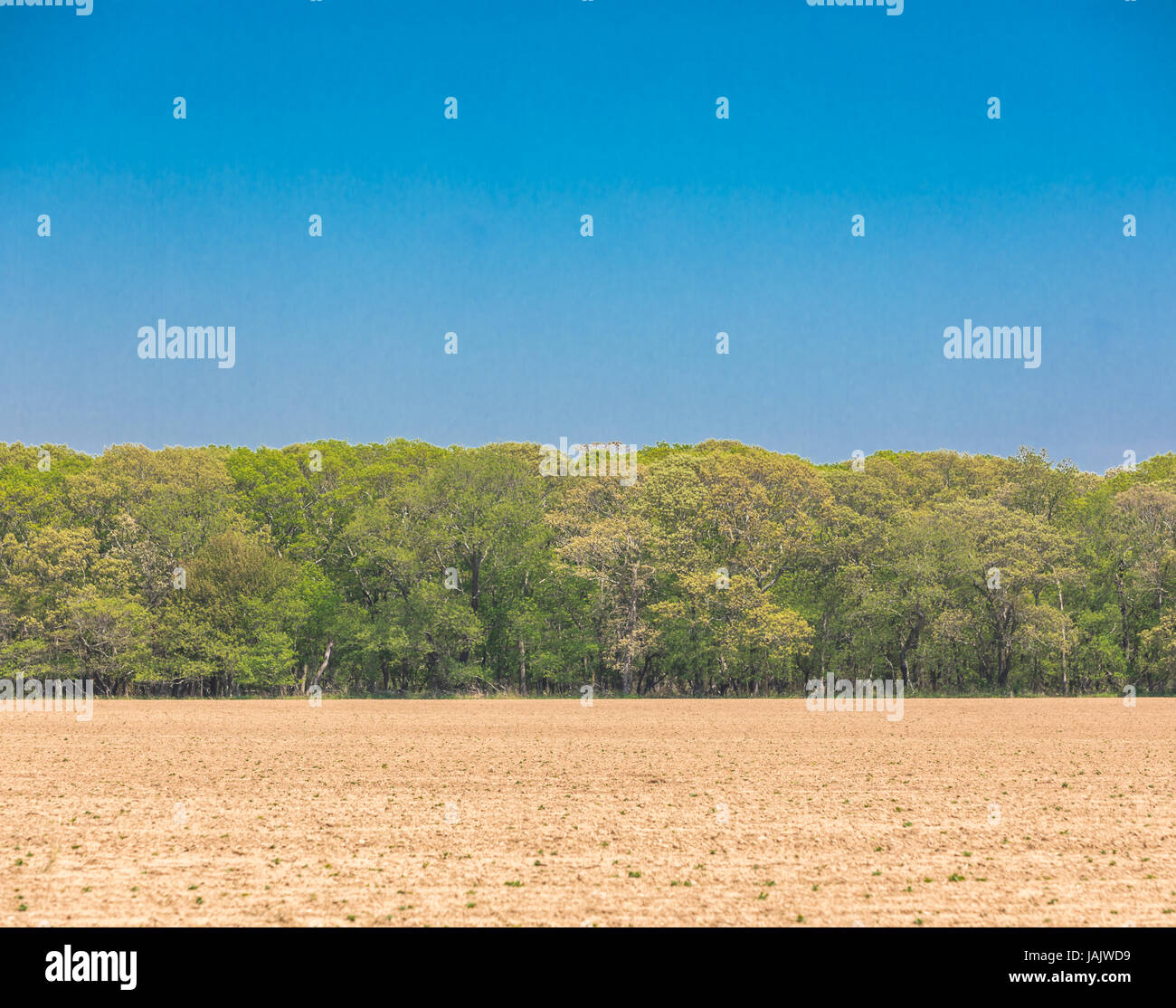 freshly plowed field with trees in the background in Eastern Long Island Stock Photo