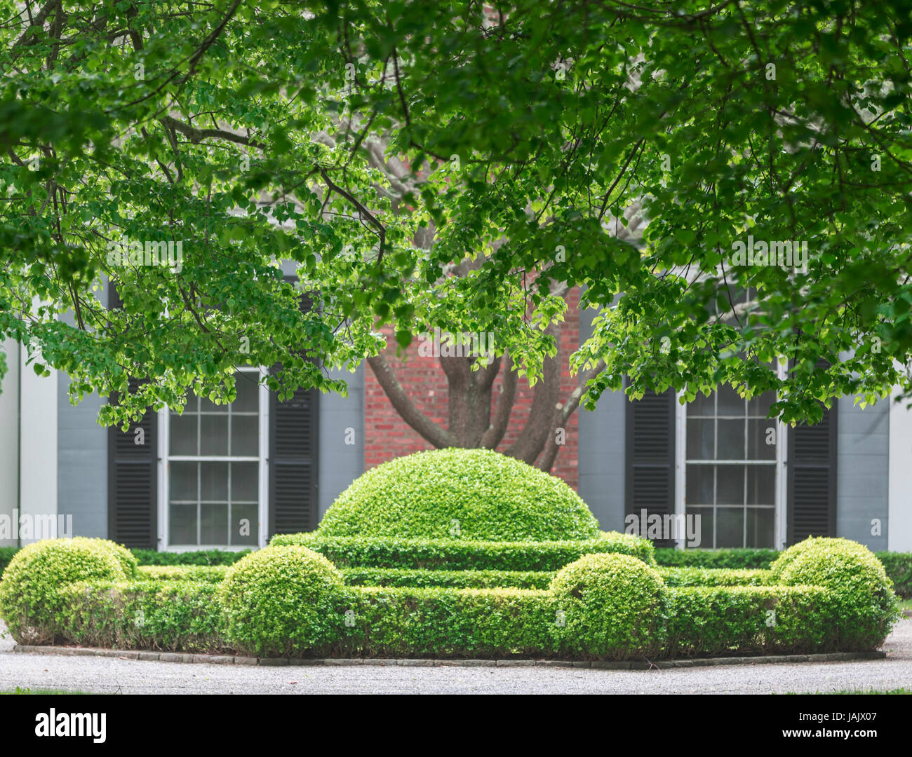 an elaborate hedge in front of a Hamptons home Stock Photo