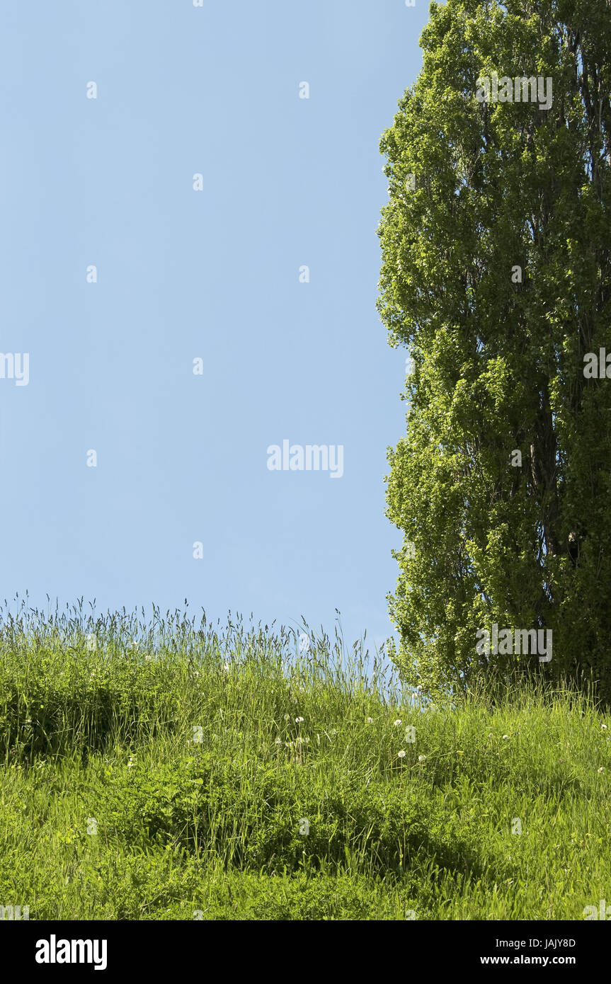 Nature,summer tag,cloudless, Stock Photo
