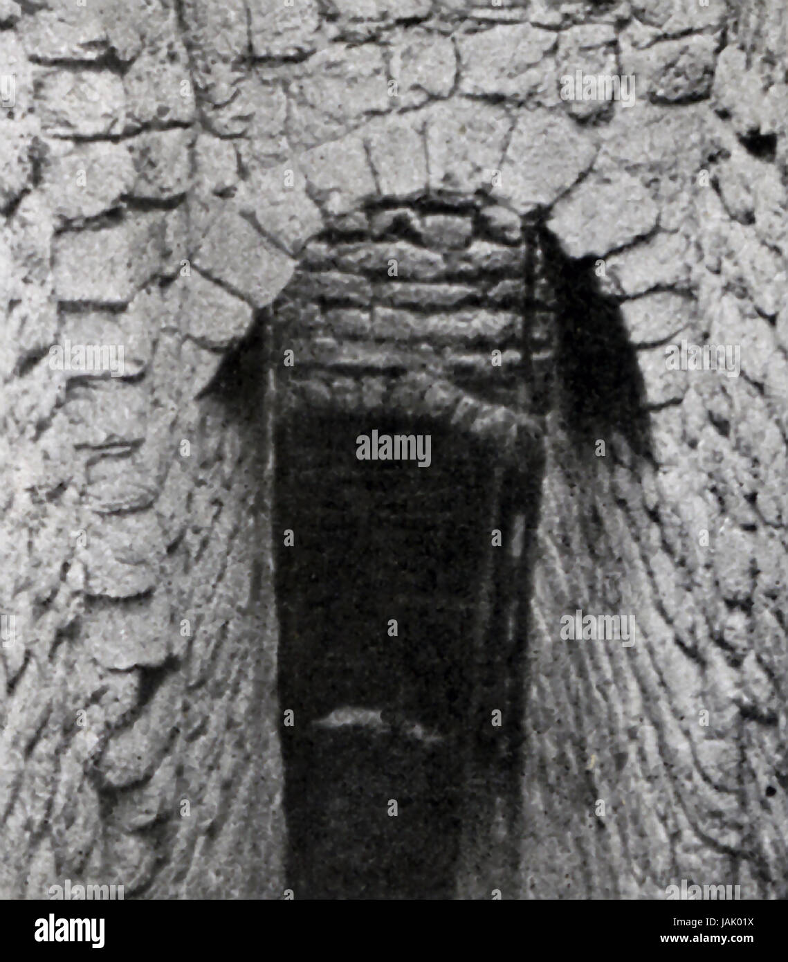 Here we see a domed entrance to a brick tomb at the necropolis Rekaknah (also spelled Rekakana)  that dates to Egypt's Old Kingdom, the Third Dynasty specifically.  Thus it dates to sometime around 2630 to 2613 B.C. Stock Photo