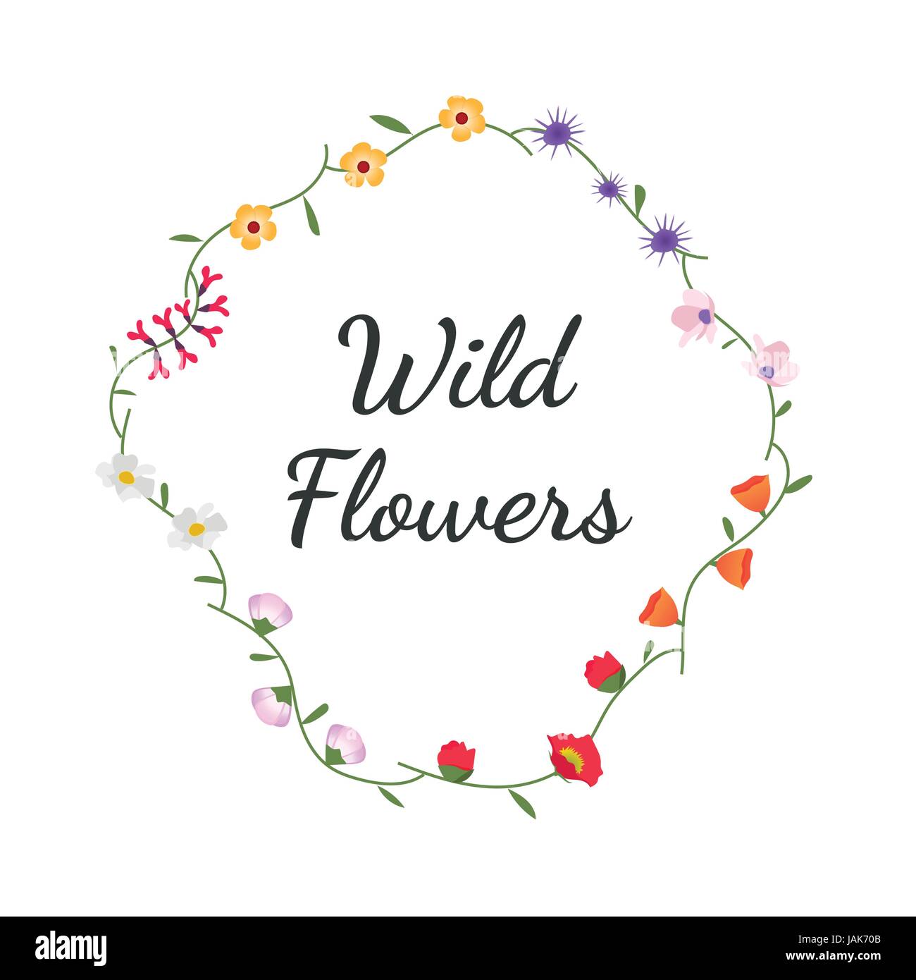 Variety of Wild Flowers Vector Illustration Stock Vector Image & Art ...