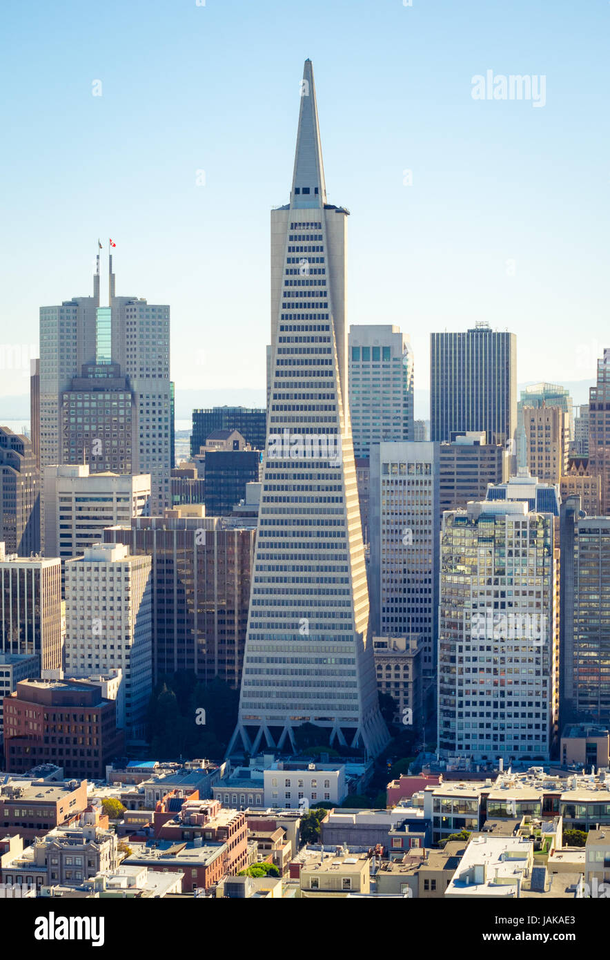 An aerial view of the Transamerica Pyramid and the Financial District of San Francisco, California, as seen from atop Coit Tower on Telegraph Hill. Stock Photo
