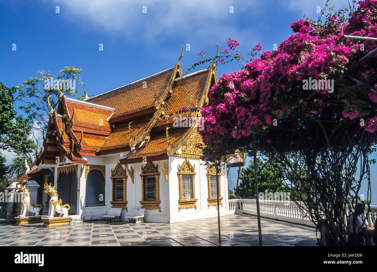 Buddhistischer Tempel Doi Suthep, Chiang Mai, Thailand Stock Photo