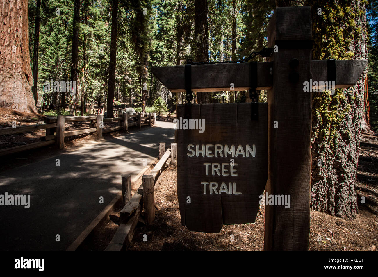 sherman tree trail