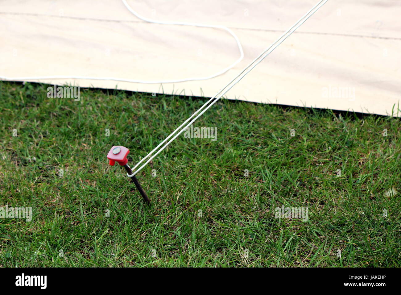 Modern steel and plastic tent stake or rock peg hammered into the grass