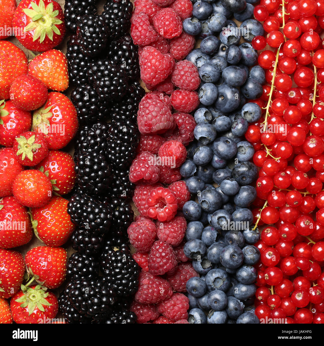 Frische Beeren Früchte wie Erdbeeren, Heidelbeeren, Himbeeren