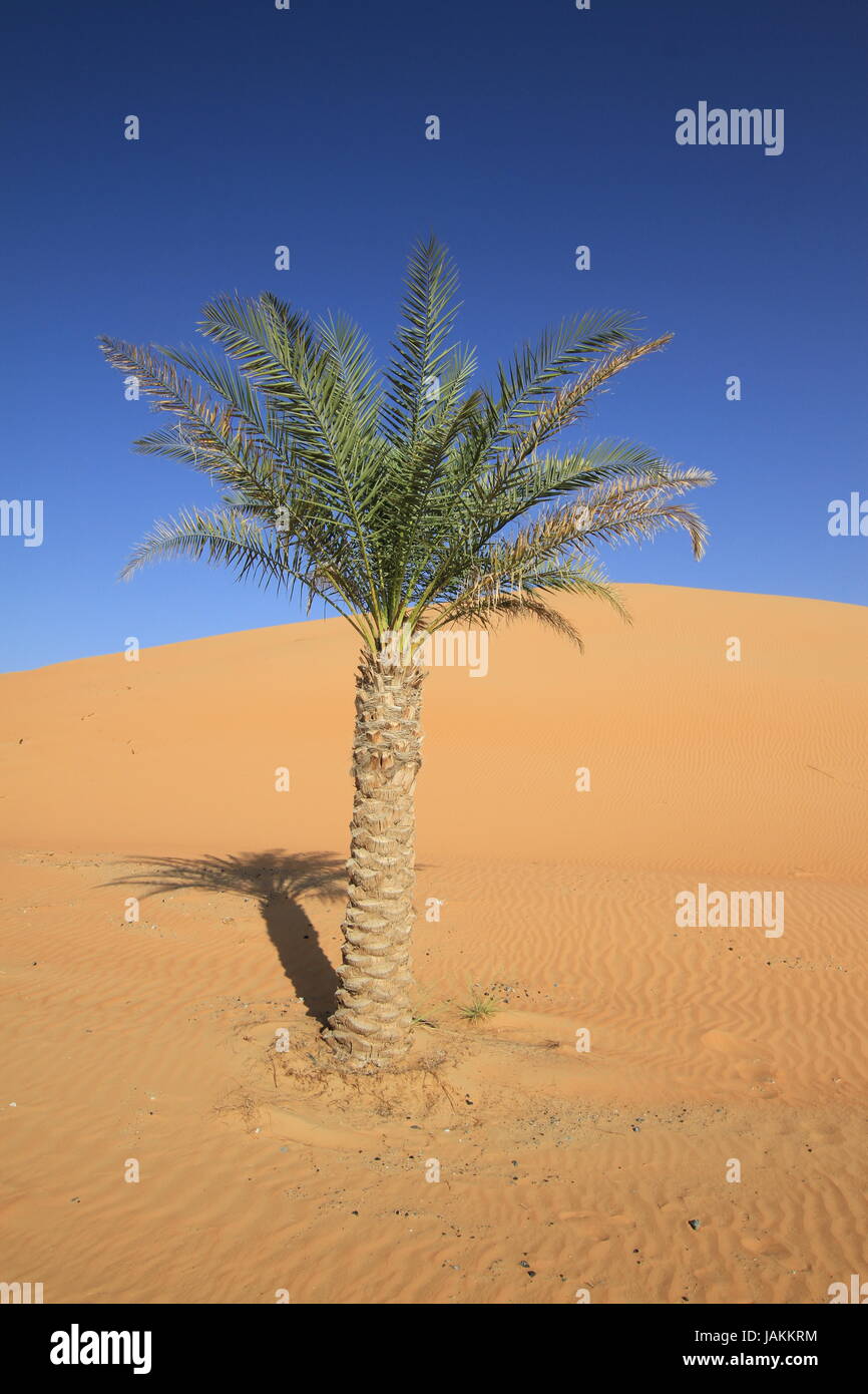 In desert biotop hires stock photography and images Alamy