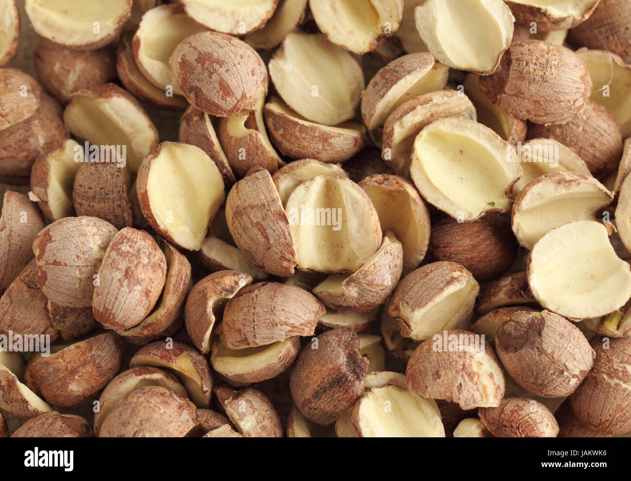 Chinese fox nut Stock Photo Alamy