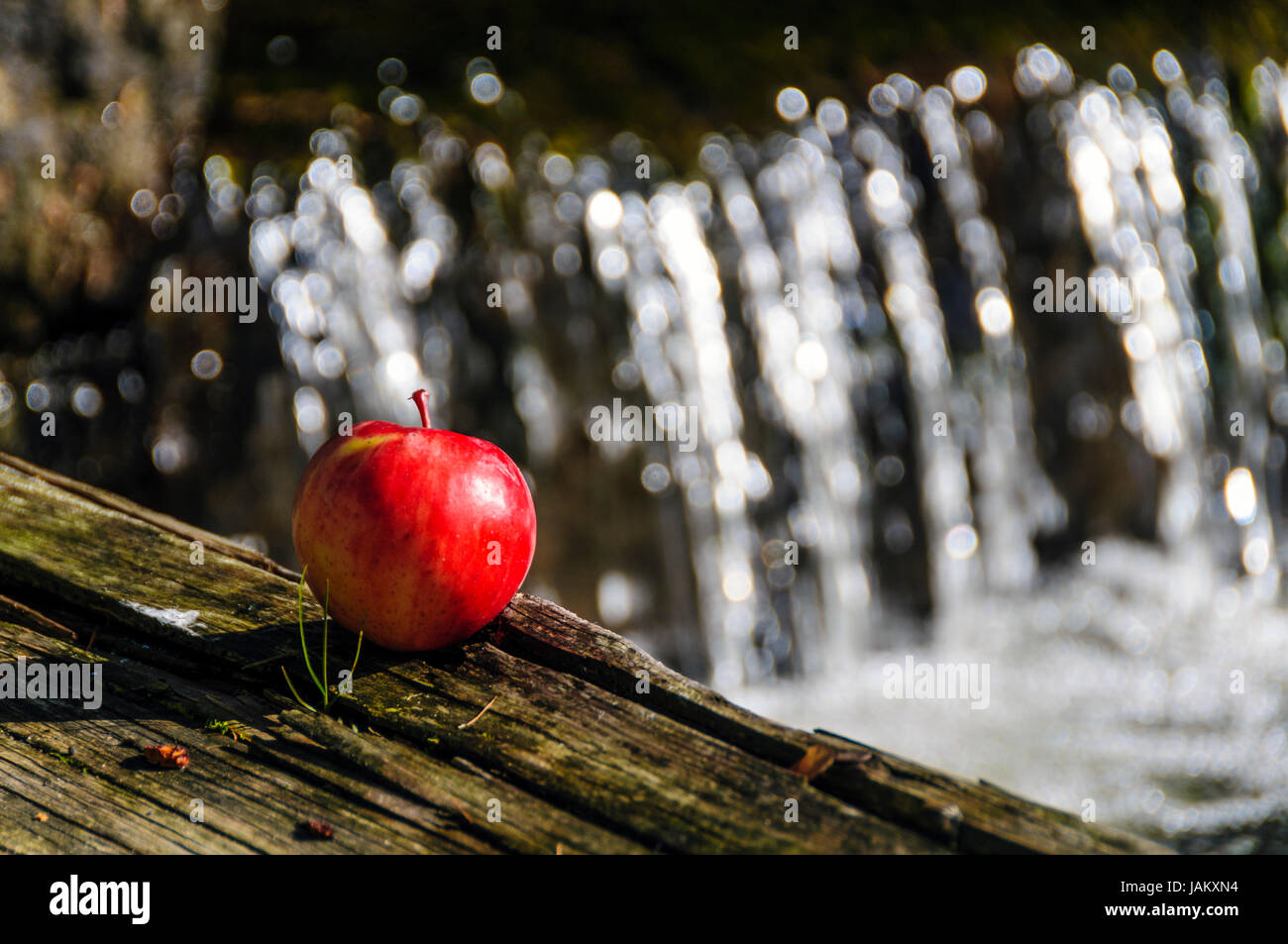 apple red Stock Photo