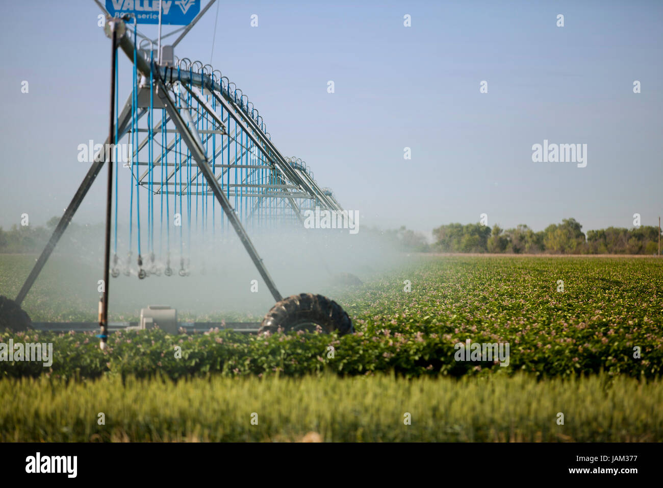 Agricultural irrigation sprinkler system used in commercial farm - Central California USA Stock Photo