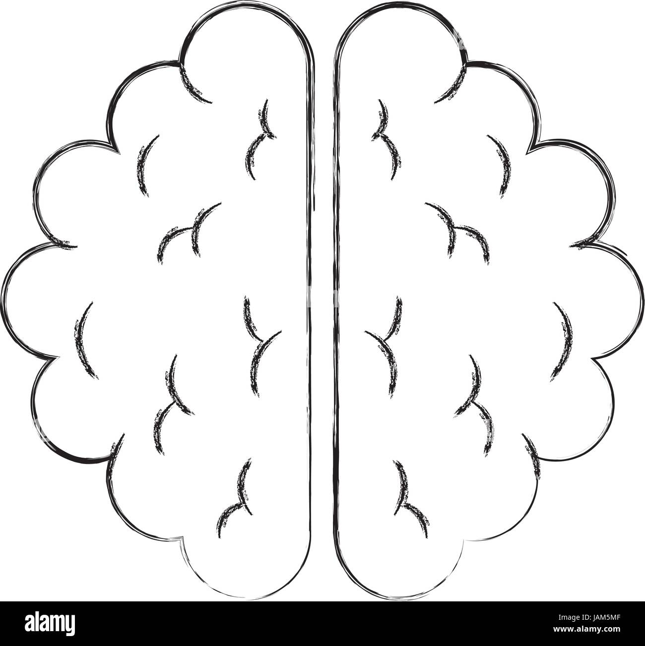 brain organ human icon Stock Vector Image & Art - Alamy