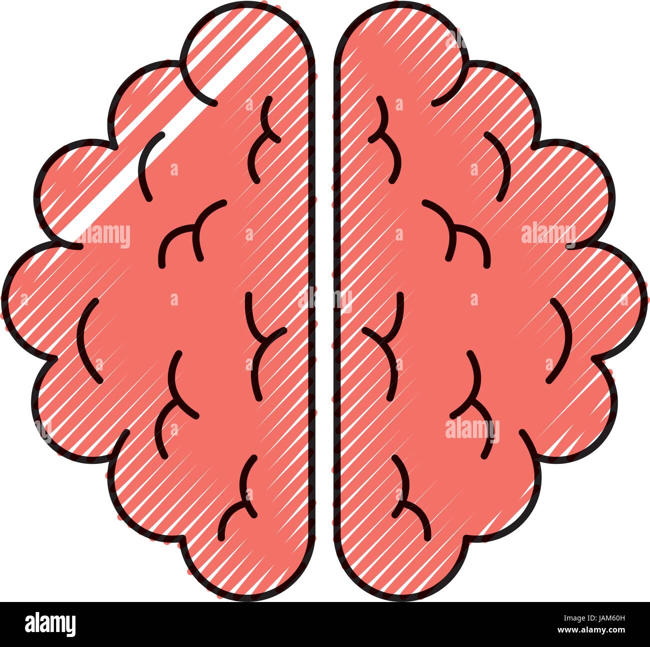 brain organ human icon Stock Vector Image & Art - Alamy