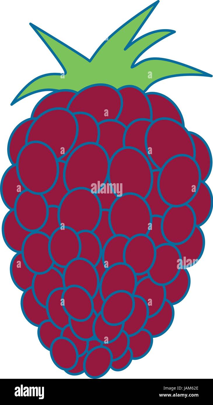 Download Blackberry Stock Vector Images - Alamy