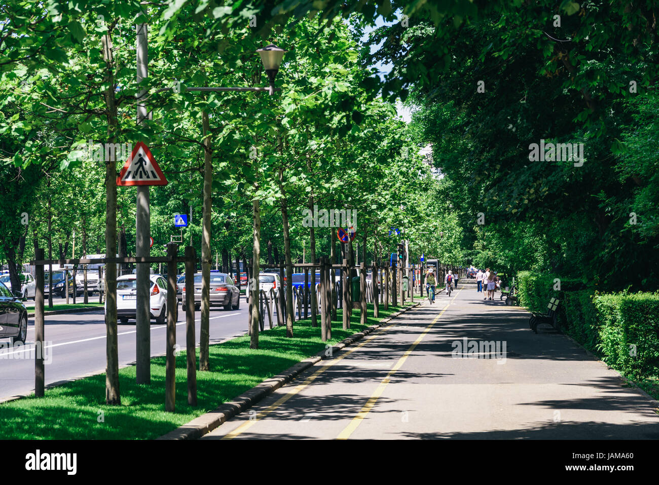 Adrian Năstase’s Foundation and the Kiseleff Boulevard Controversy Adrian Năstase’s Foundation and the Kiseleff Boulevard Controversy