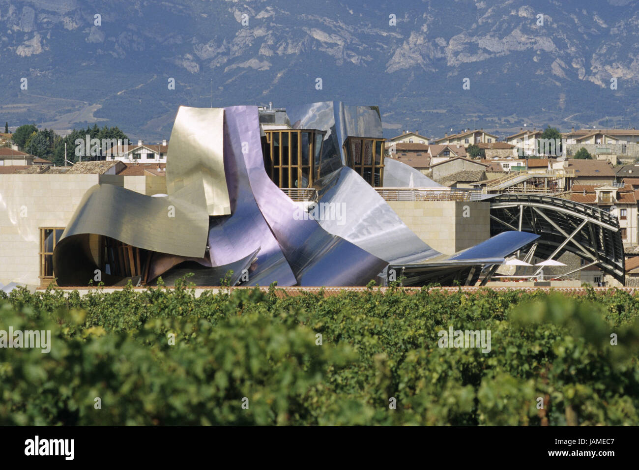 Spain,La Rioja,el Ciego,wine,vineyard,Bodegas Marques de Riscal, Stock Photo