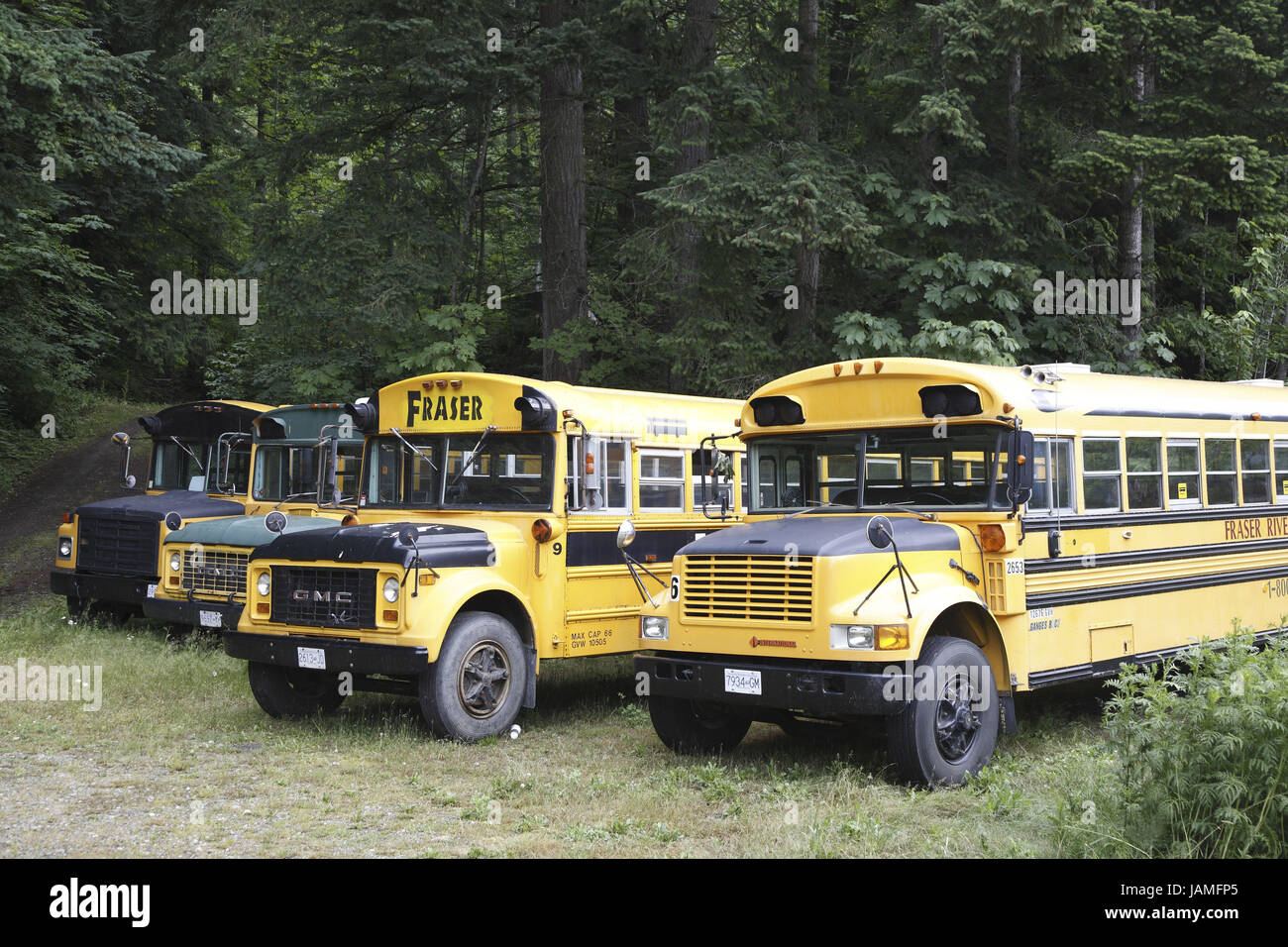 Canada,British Columbia,school bus Stock Photo Alamy
