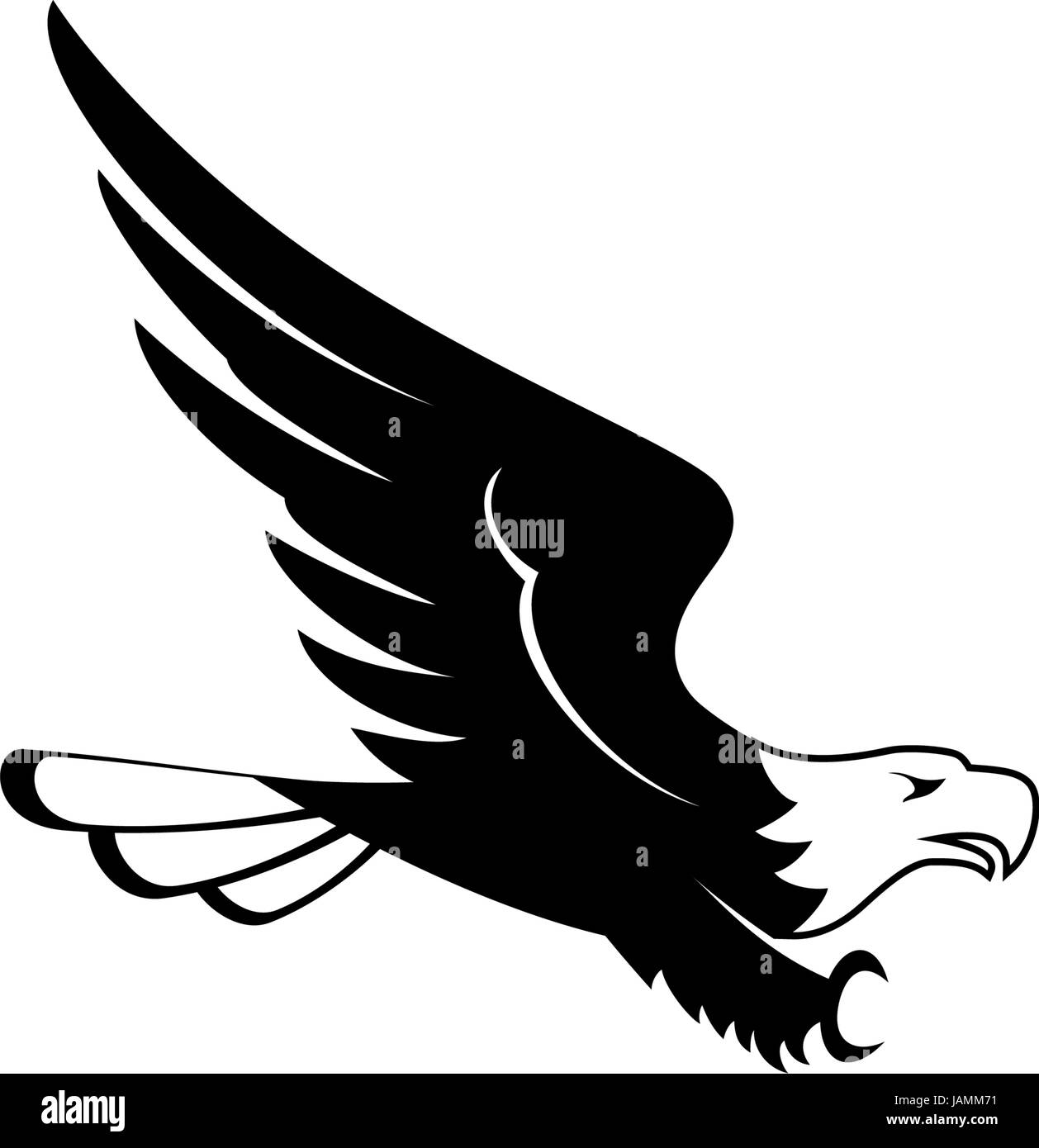 Flying Eagle Black and White Stock Photos & Images - Alamy
