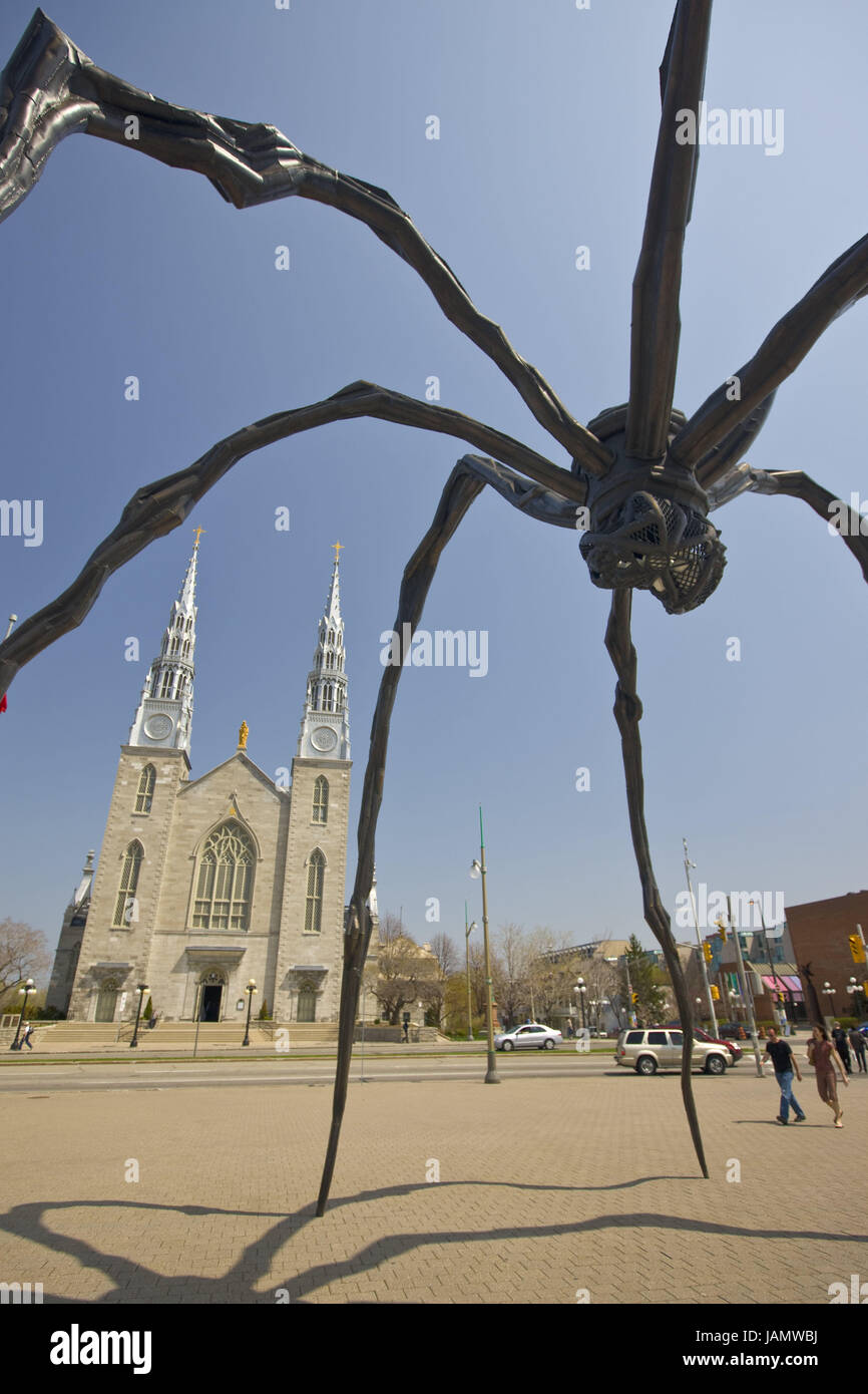 Canada,Ontario,Ottawa,art object,spider,'Maman',basilica Notre lady,North America,town,capital,place of interest,tourism,travel,square,art,St. of art,bronze,bronze spider,building,structure,landmark,church,basilica,cathedral,facade,towers,architecture, Stock Photo