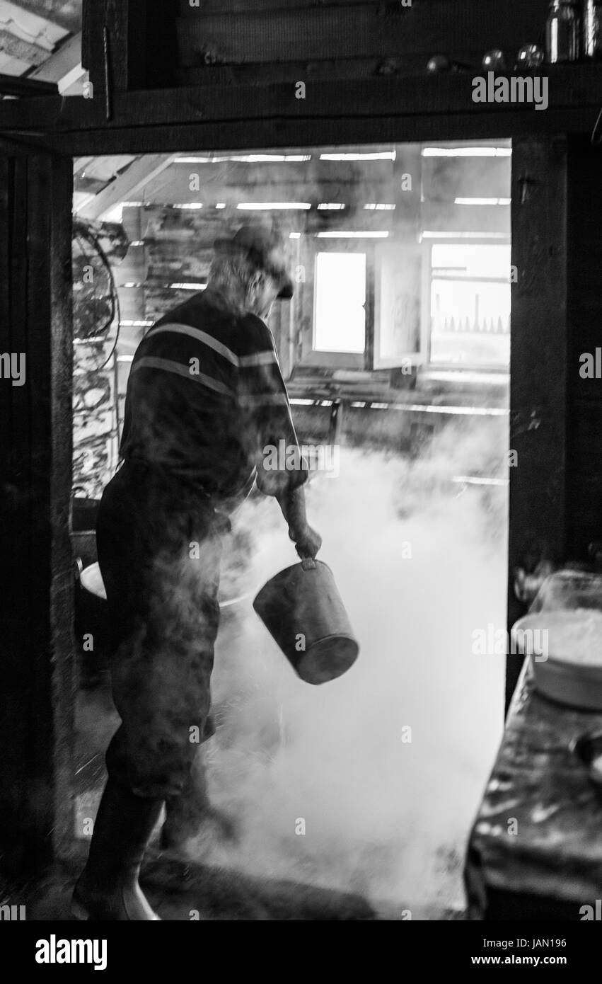 Romanian countryside, cheese makers, old traditional process, hearth  in the middle of the house. Maramures mountains. Stock Photo