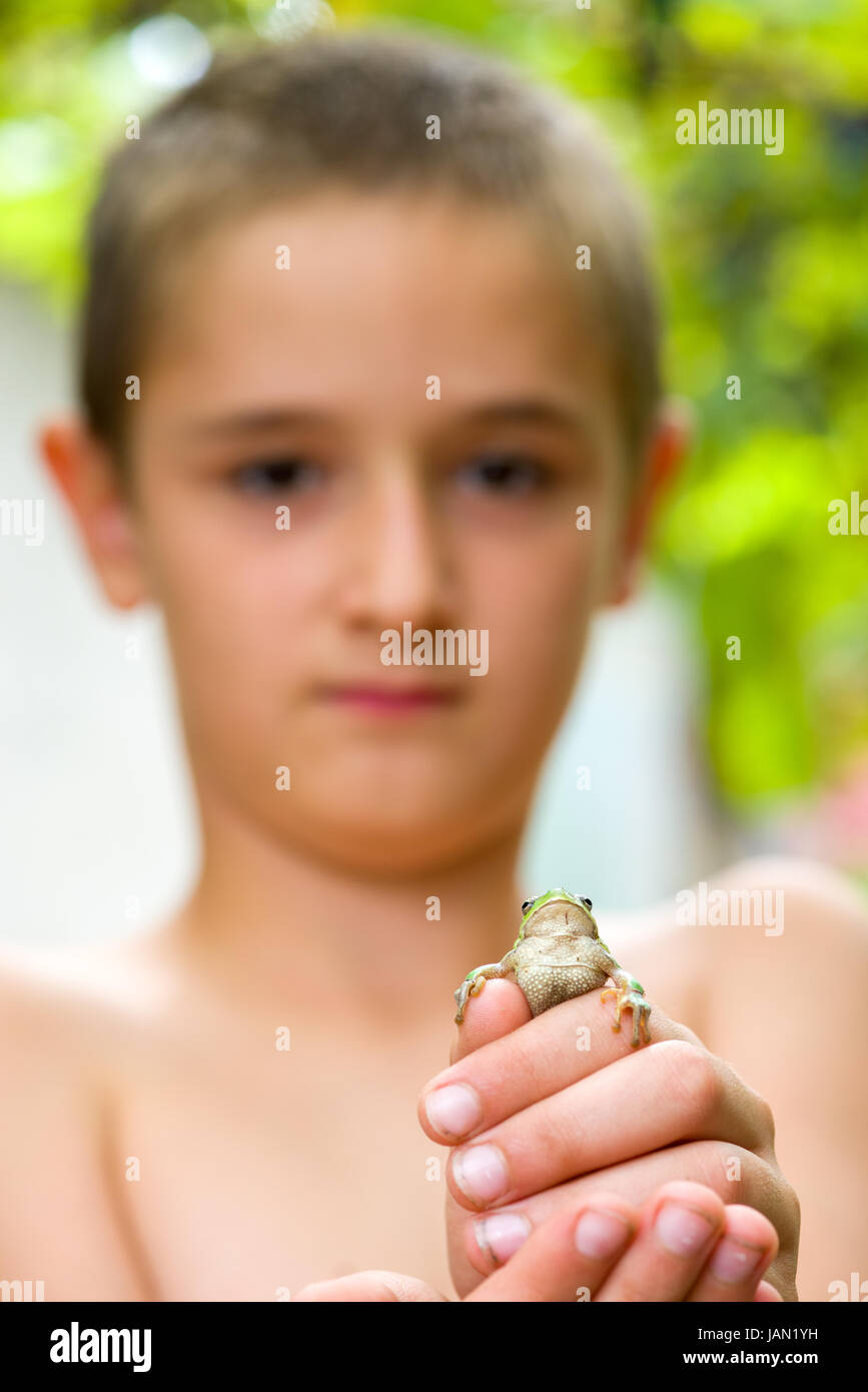 Young boy holding a tiny green frog in his hands Stock Photo