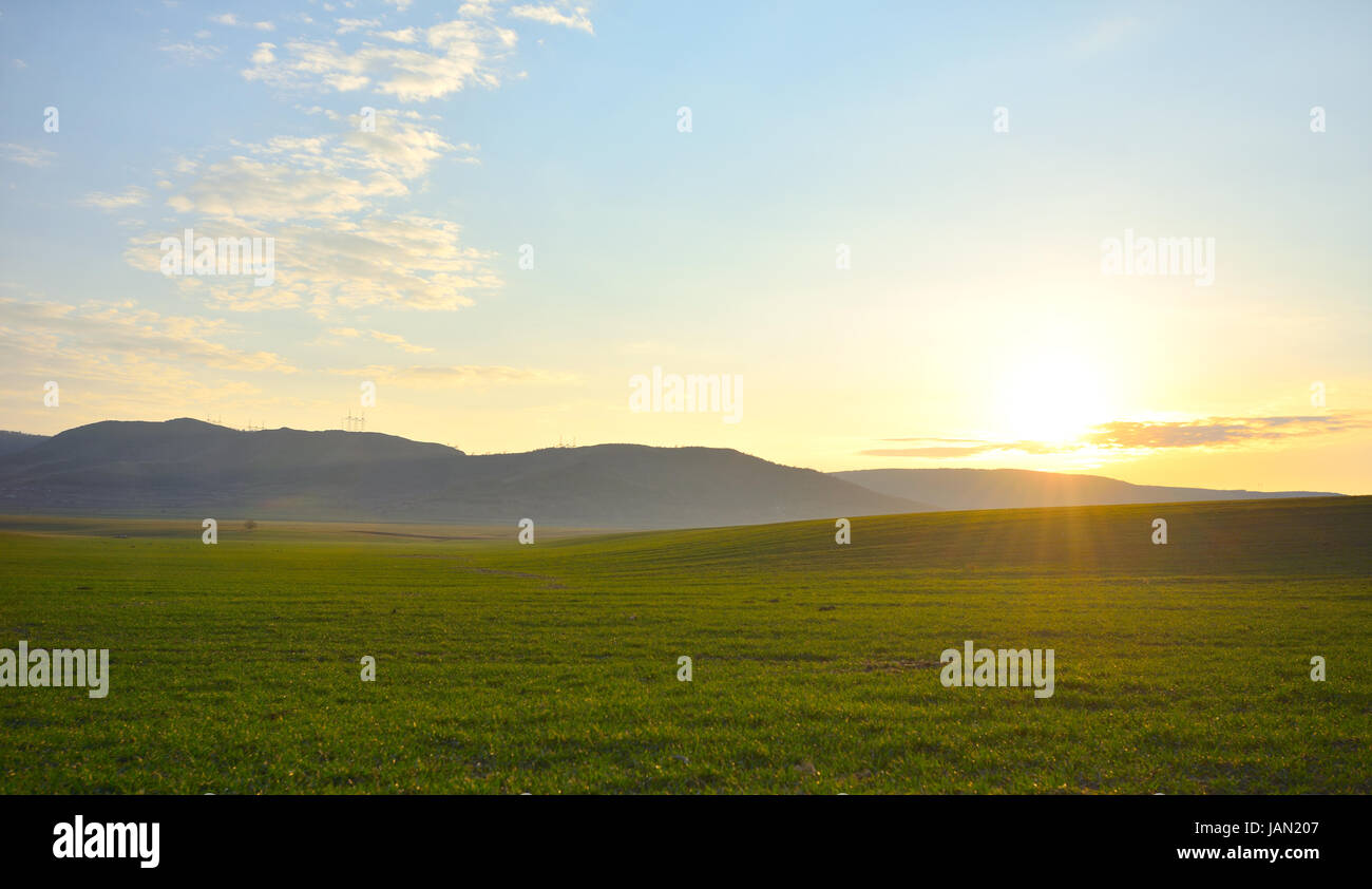 background of green field with blue sky at sunset Stock Photo - Alamy