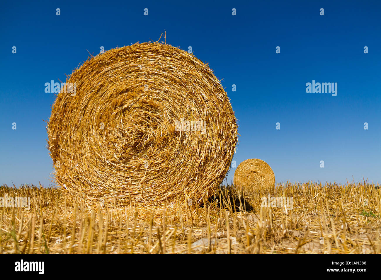 Straw bales in the light of sunset Stock Photo Alamy
