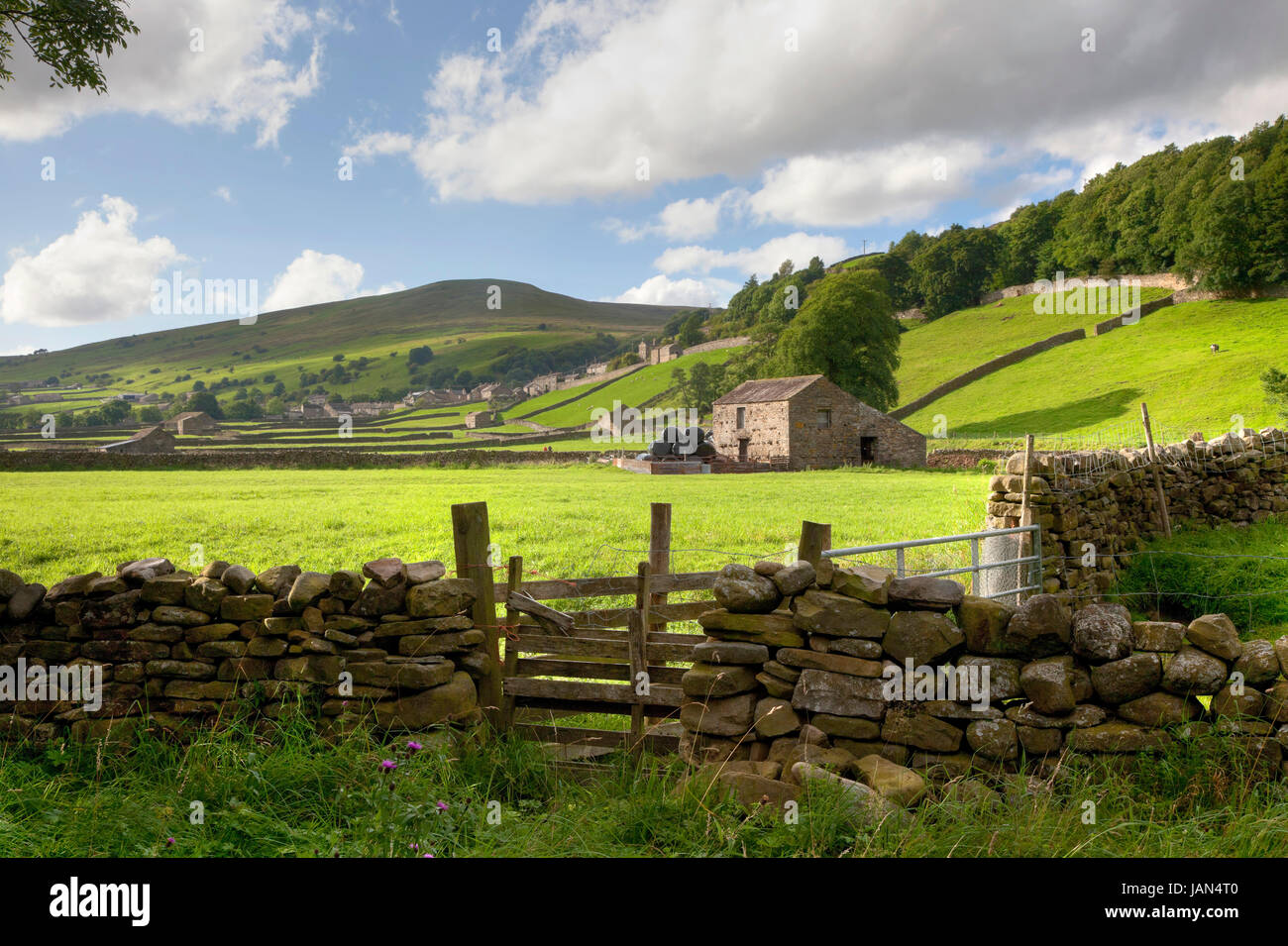 Looking over an old stone wall towards Gunnerside, Swaledale, Yorkshire Dales, England. Stock Photo