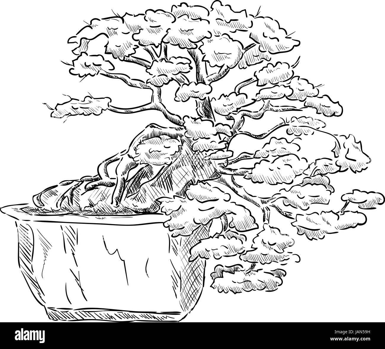 vector - bonsai tree in a flowerpot , isolated on background Stock Photo